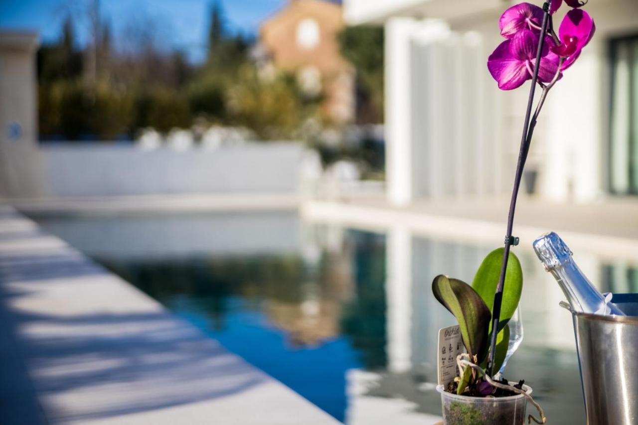 Villa Milly Vrh  Esterno foto
